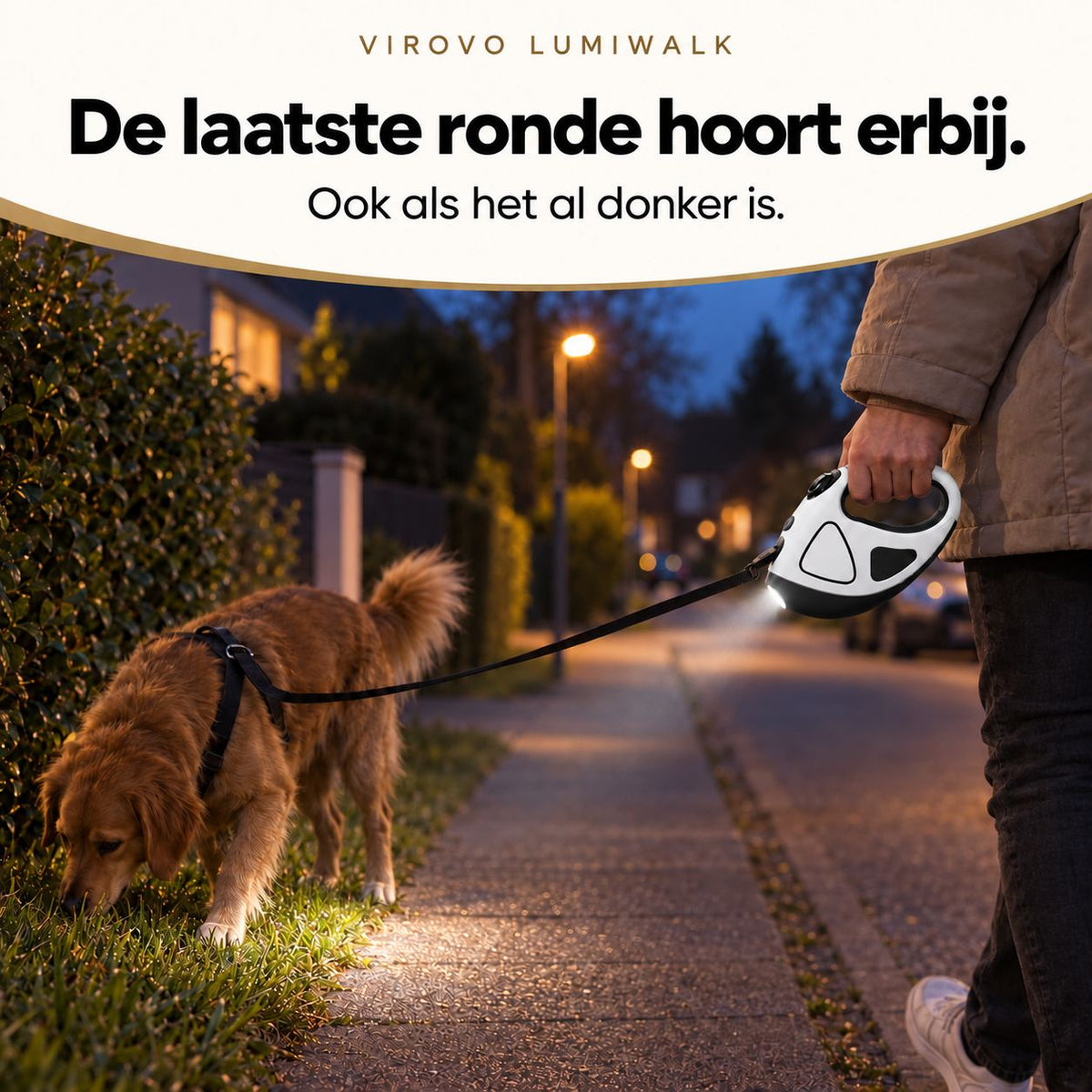 Illustratie van een avondwandeling met de witte Virovo LumiWalk hondenlijn en LED-licht op de grond.