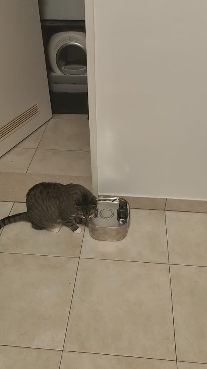 Virovo PureFlow 3,2 liter - echte demonstratie met kat, 12 seconden