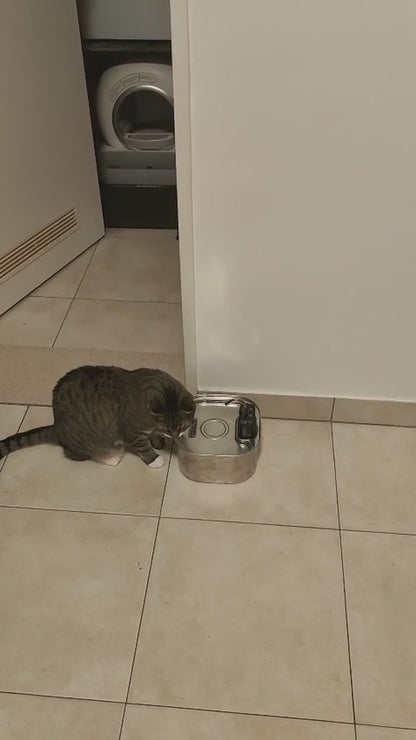 Virovo PureFlow 3,2 liter - echte demonstratie met kat, 12 seconden